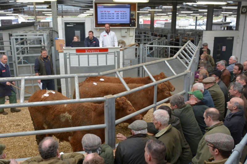 Additional security standards, hygiene precautions and further market restrictions have been agreed to keep marts running