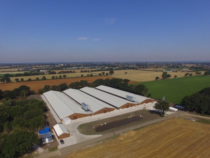 Ecologically-friendly poultry sheds have been built as part of a farming business's diversification plan