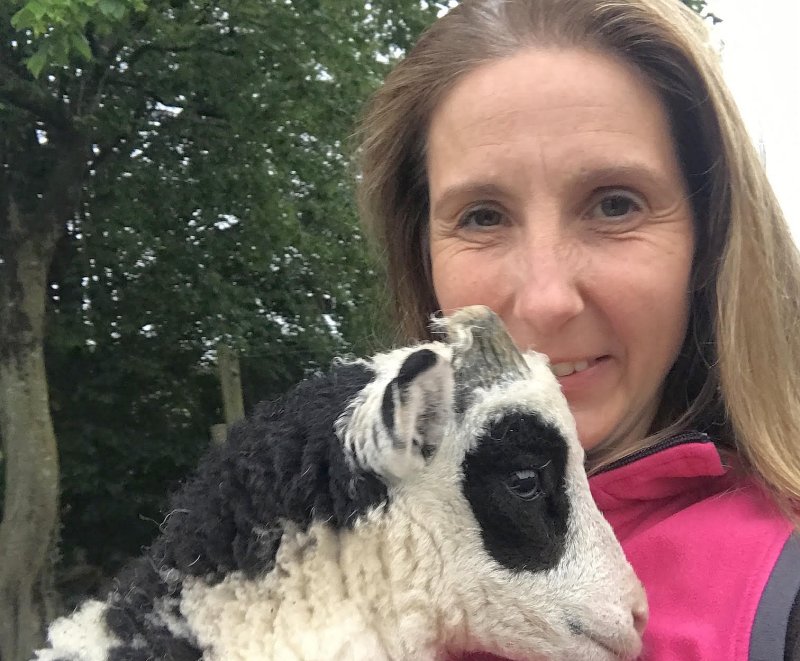 Esther Howie's business is 'hanging in balance' following dog attacks on her pedigree sheep
