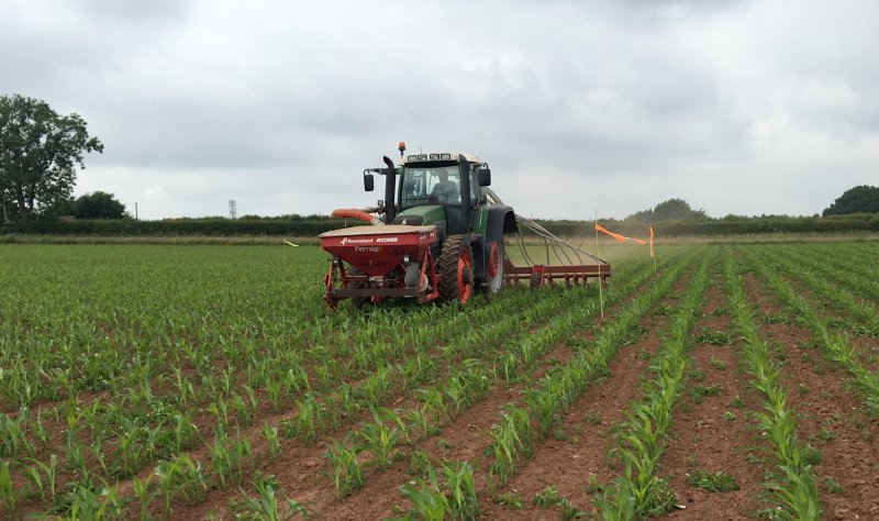 Forage maize is a crop where the potential for nitrate leaching to water is high