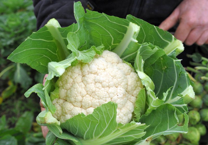 Farmers and growers in Wales say the Covid-19 pandemic has exposed 'supermarket flaws'