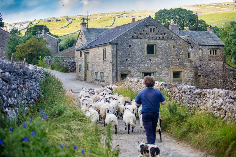 A local and sustainable food supply chain in the UK has 'never been more crucial', farmers have said in a new report