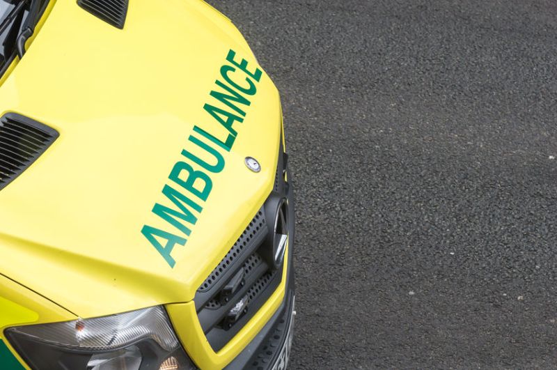 Emergency services were called to a farm near Buckfastleigh, Devon, on 13 April