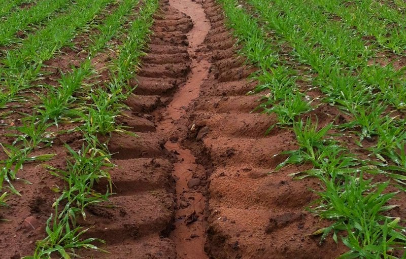 'Unsustainable' soil erosion has been recorded in parts of the UK, according to a team of researchers