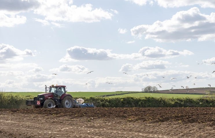 The window to submit applications for the Basic Payment Scheme and make a claim for Countryside Stewardship will be extended by one month