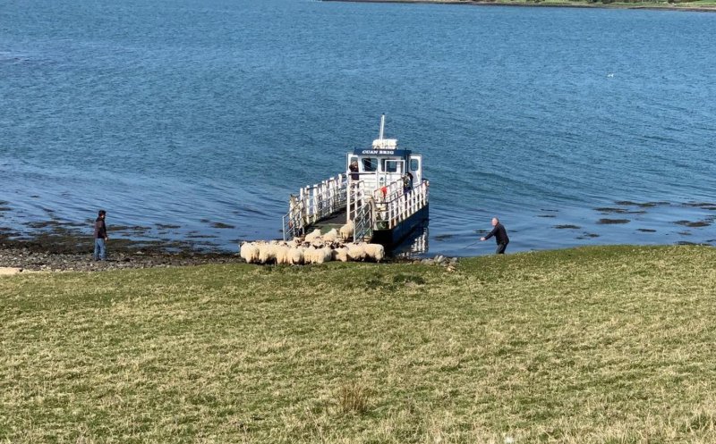 The vessel has allowed for the continued farming of the islands of the Lough in Northern Ireland (Photo: National Trust)