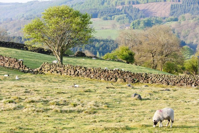 Police said the public are 'blatantly ignoring' lockdown rules by visiting the North Yorkshire countryside