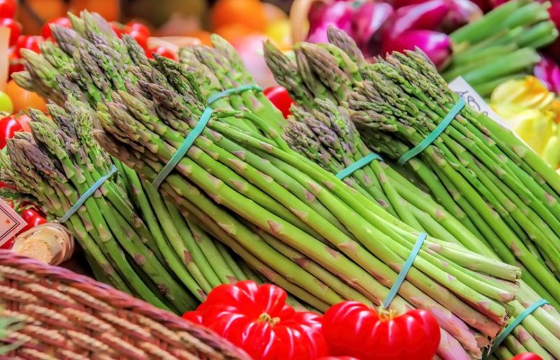 Young people on their summer break from education have been urged to help bring in the harvest