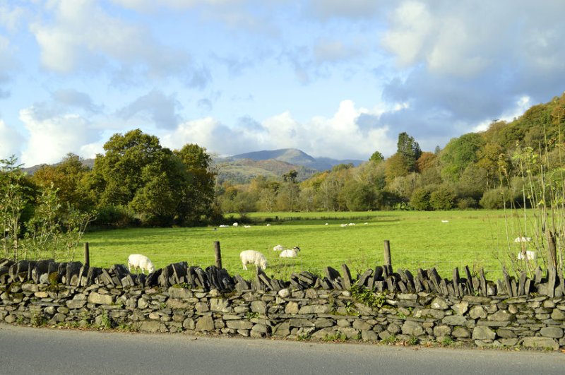 Farming and the outdoor economy could lead the UK's Covid-19 recovery efforts