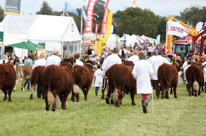 The Dorset County Show, a well-established annual fixture in the county calendar, has been cancelled