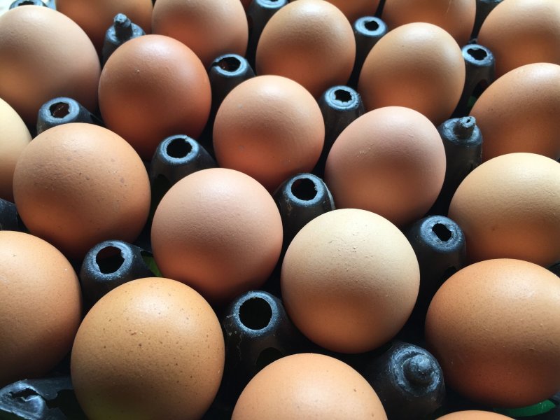 The average farm gate price for a dozen free range eggs was 86.5p in the period from January to March this year compared with 79.2p in the first three months of 2019