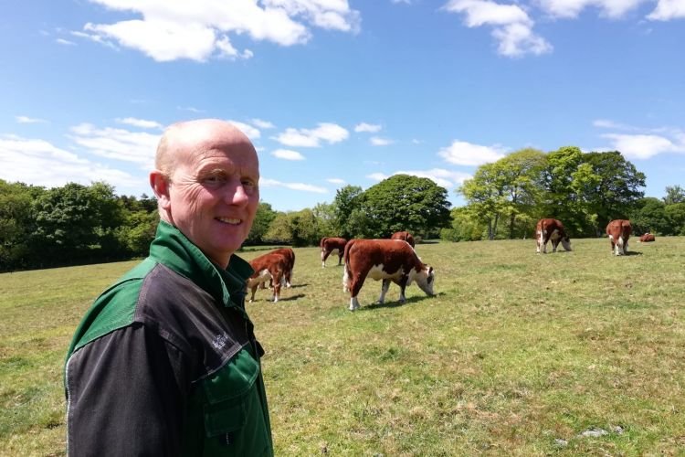 One farmer whose calving interval is lower than the average is David Burnhill, who’s the head stockman at the Hean Castle Estate in Pembrokeshire