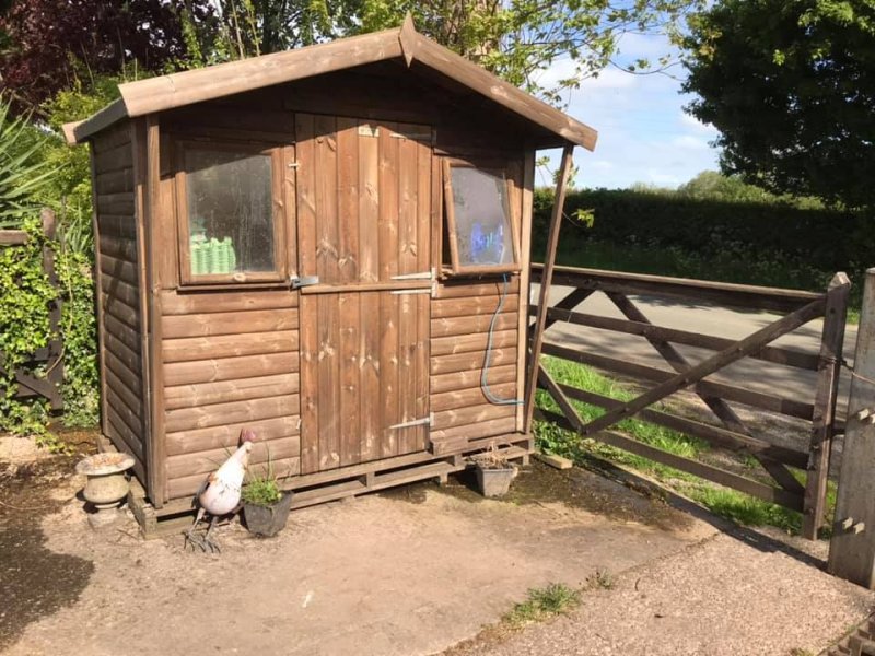 Thieves raided the young farmer's small egg business (Photo: Sam's Hens Free Range Eggs/Facebook)
