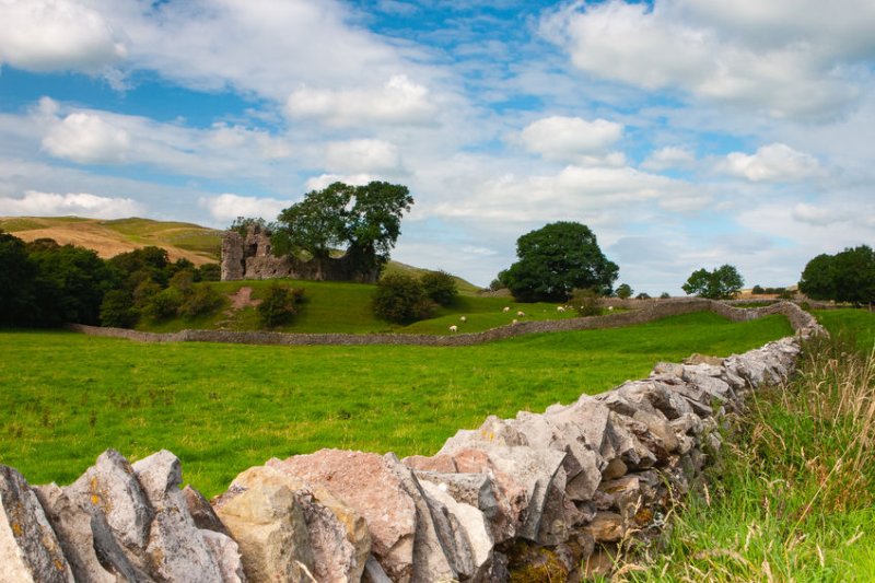 Visitors to the countryside have been reminded not to feed livestock following a rise in incidents