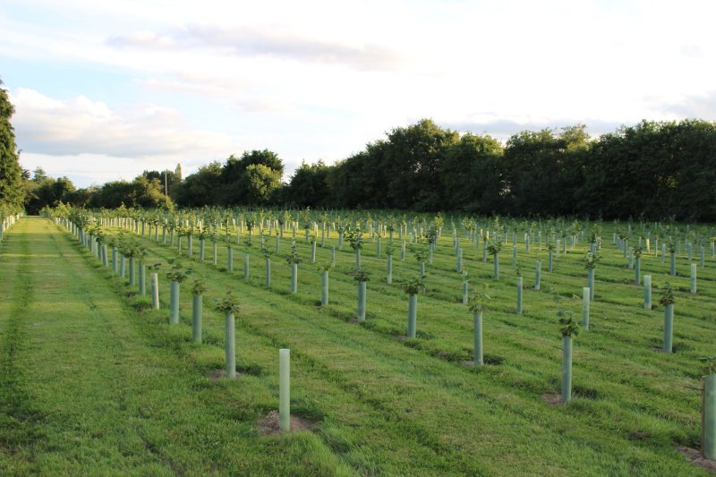 Farmers have been urged to take advantage of extra environmental funding opportunities