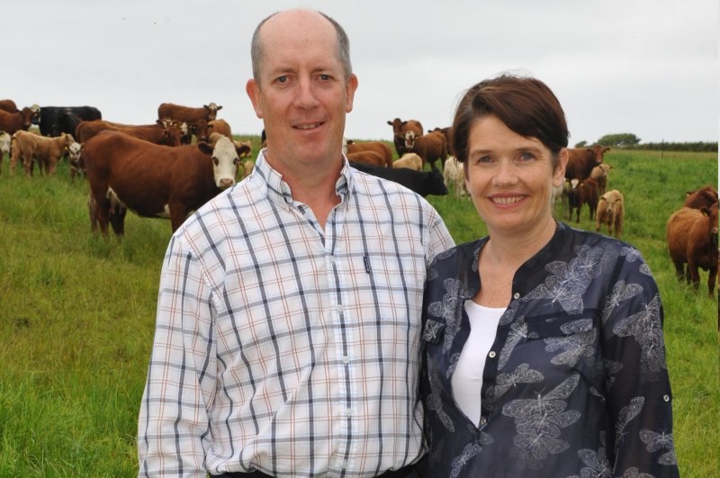 Huw and Meinir Jones are assessing the efficiency of producing finished cattle compared to stores