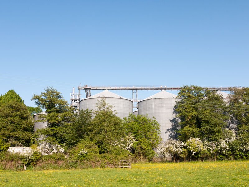 Thieves stole 24 tonnes of feed from a silo, worth around £4,400 (Stock photo)