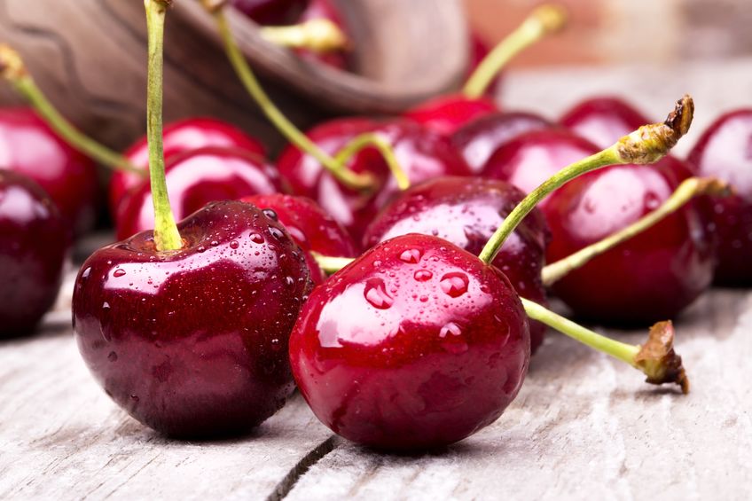 The UK is set for another substantial cherry season, broadly in line with last year’s bumper harvest