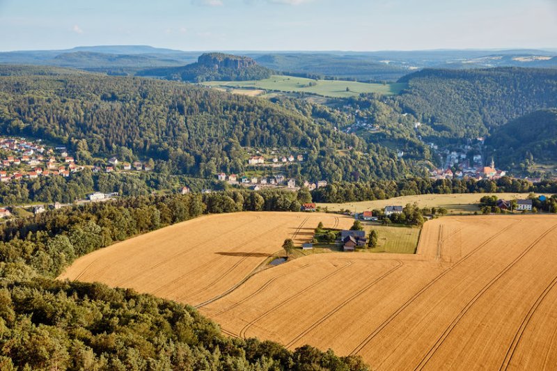 A farm in Saxony, Germany. EU auditors have said the CAP is 'not effective' in reversing the decline in biodiversity on European farmland