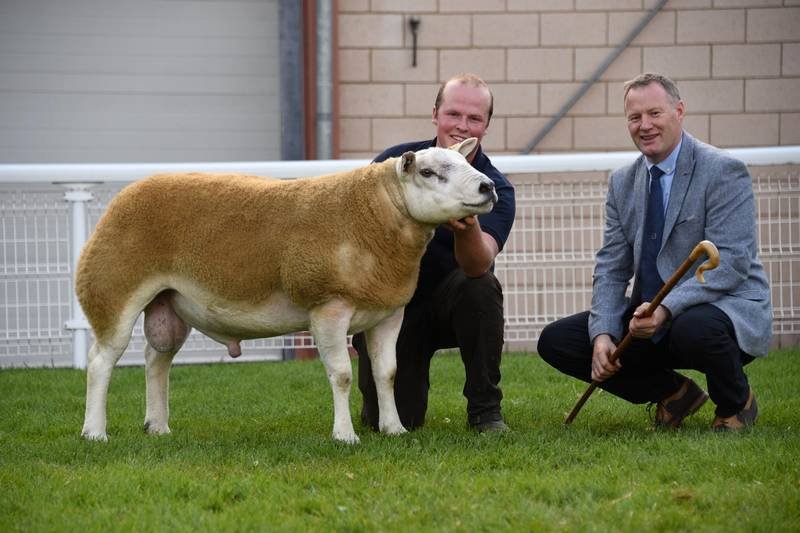 This year's NSA Wales and Border Ram Sales have been cancelled