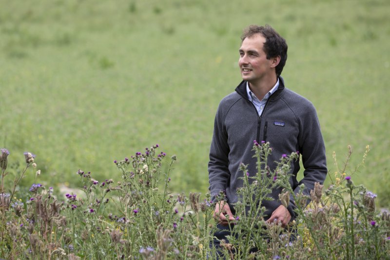 Farm manager Callum Weir and the field margins at Wimpole Home Farm (Photo: Phil Morley)