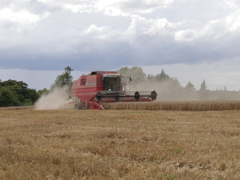 Last year, production levels across 912 acres of the arable farm reached high levels for an organic farming system (Photo: NT Images & Catherine Hayburn)