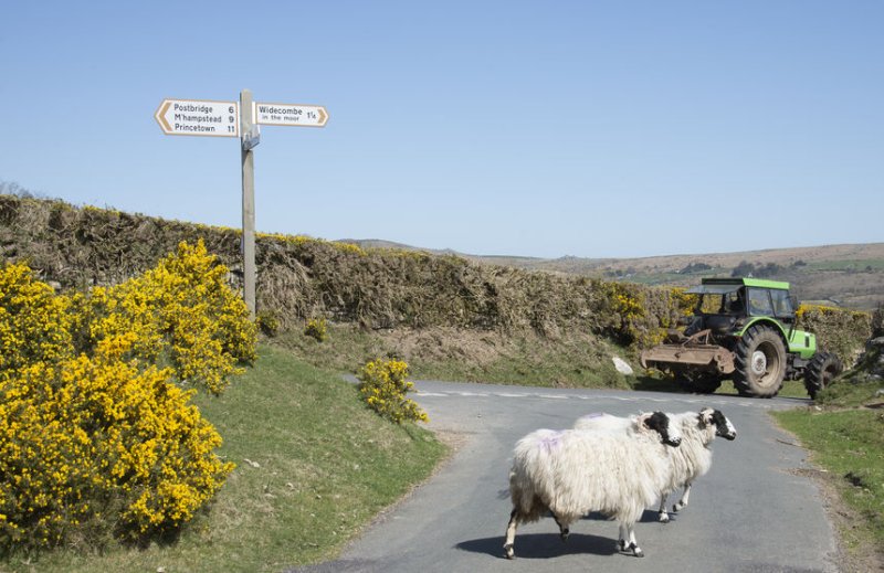 The unique project, involving 100 farmers and landowners, aims to improve rural road safety