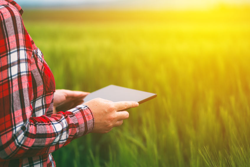 Virtual farm tours included insights into crop uses, cows' diet, soil health, and the benefits of hedgerows