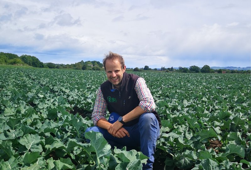 The new Scottish Strategic Centre for Brassicas complements the current AHDB strategic centres for field vegetable crops, which conduct ‘core’ variety evaluation trials each year