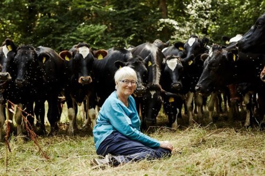 Managing director of award-winning Quickes Cheese, Mary Quicke MBE, was announced the 2019 Dairy Industry Woman of the Year