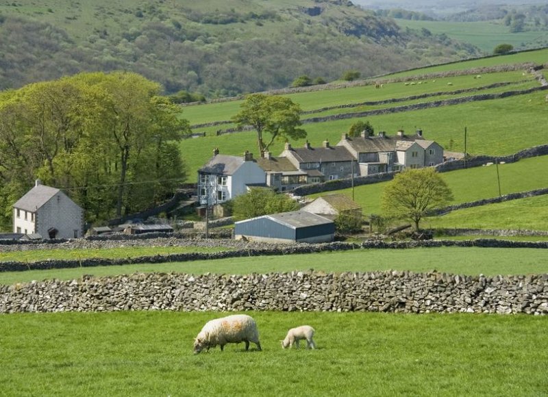 The loss of county farms has increased fivefold since 2016, according to the CPRE