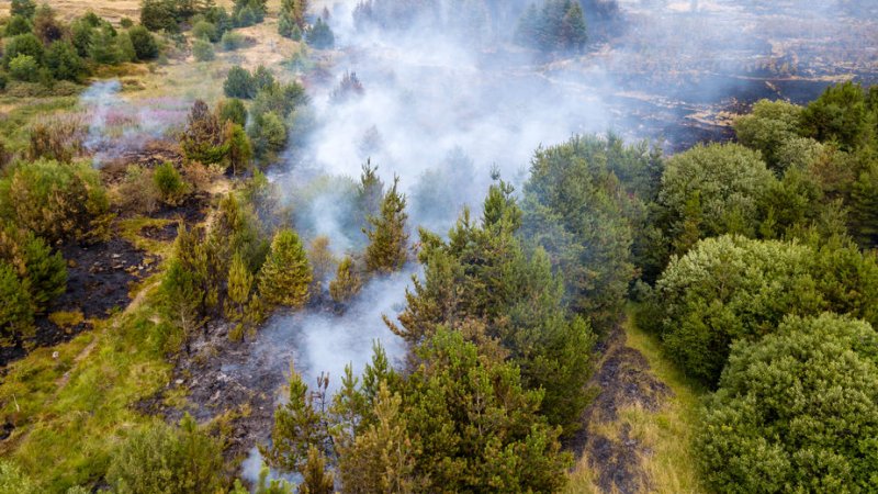 The dry conditions during the spring months have contributed to a rise in wildfires