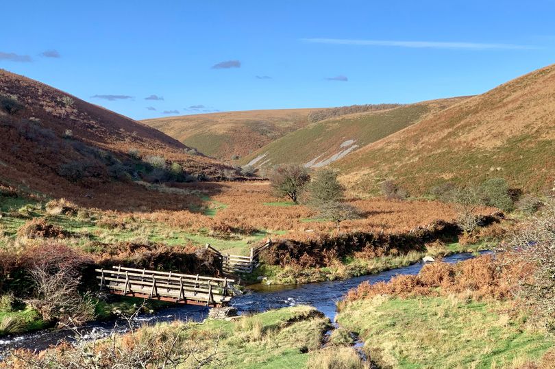 The Trust has an aim to improve the site's facilities to encourage more people to see the surrounding nature (Photo: National Trust/Sarah Hailstone)