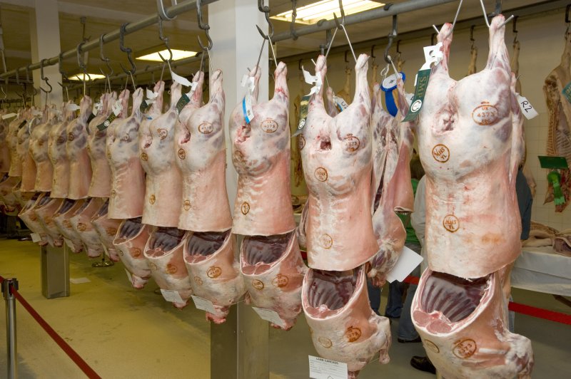 AHDB said sheep meat export volumes were expected to contract due to the coronavirus crisis in both the UK and Europe (Photo: John Eveson/Flpa/imageBROKER/Shutterstock)