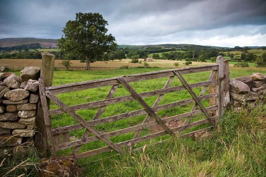 The Tenant Farmers Association has warned that some farmers may not be able to access new post-Brexit government schemes