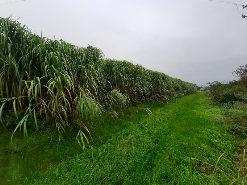 The aim of the trial is to protect and enhance the water environment through managing the surrounding land