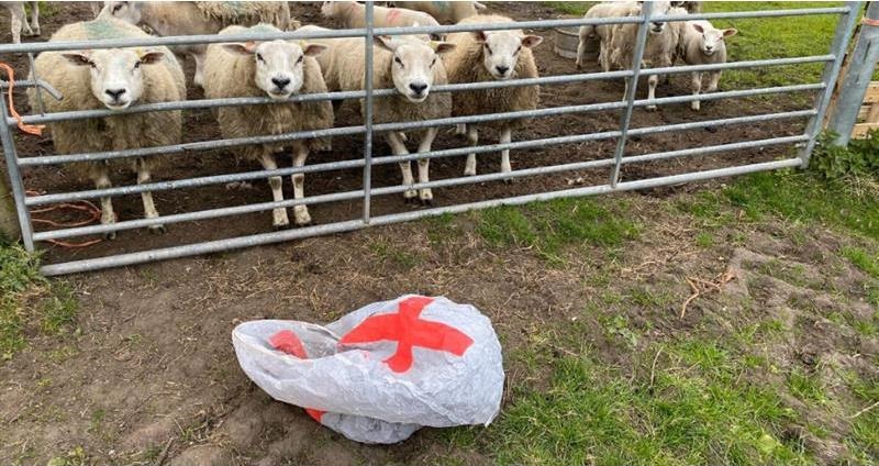 The NFU is calling for a complete ban on the release of sky lanterns