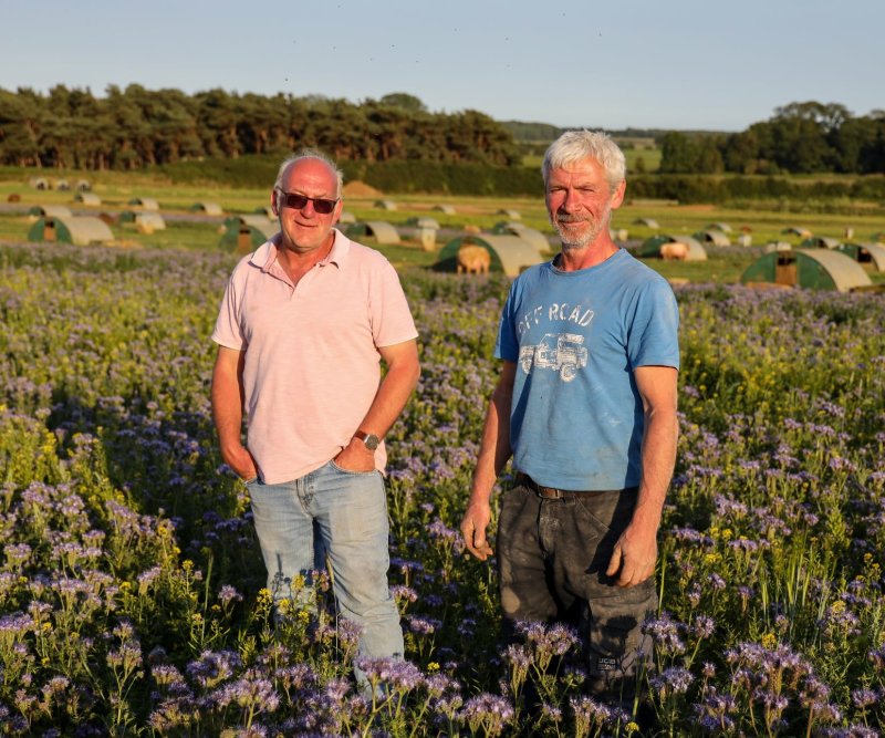 Brothers Mark and Paul Hayward have turned half their land to wildflowers