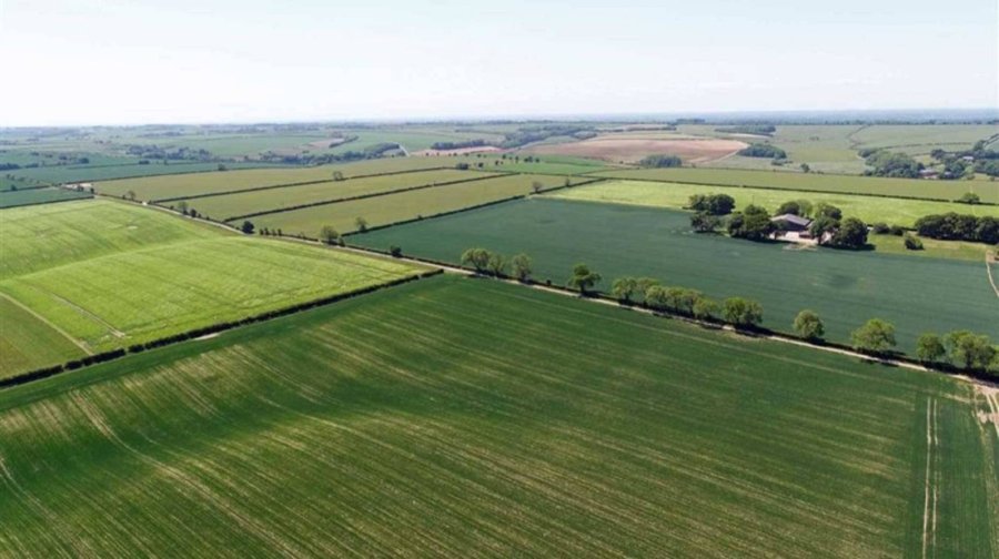 Binbrook Top Farm is situated in the famous rolling countryside of the Lincolnshire Wolds, an Area of Outstanding Natural Beauty (Photo: JHWalter)