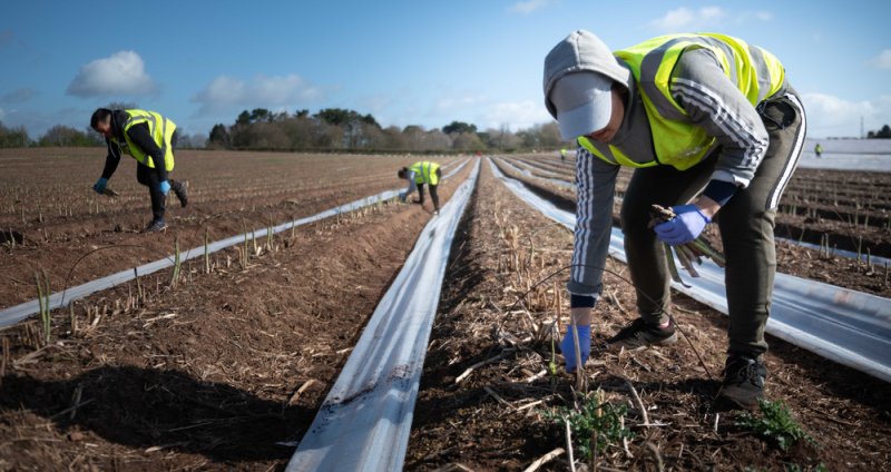 No agricultural roles are currently included on the Shortage Occupation List (Photo: NFU)