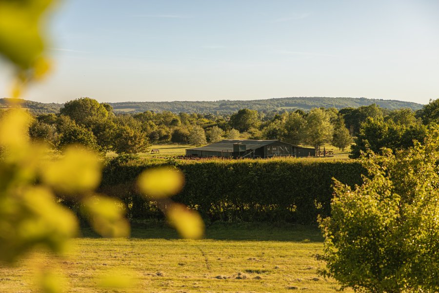 Purely Organic is the first brand in the UK to display the Climate Partner logo