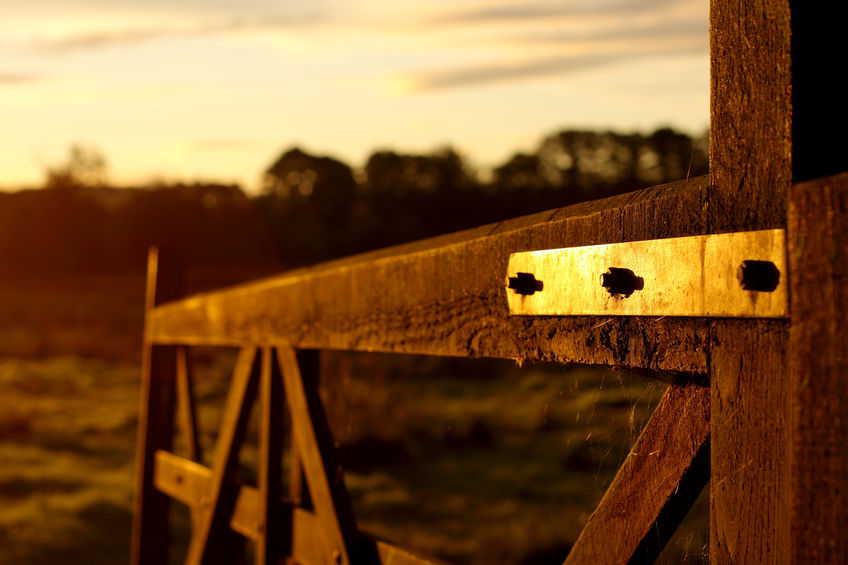 Two men were arrested on suspicion of stealing quad bikes from a North Yorkshire farm