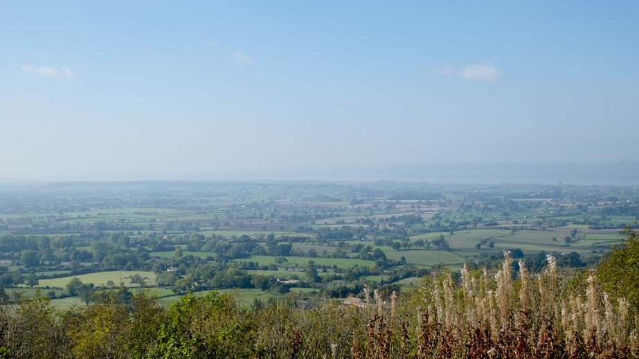 New regulations will give greater freedom for buildings and land to change use without planning permission