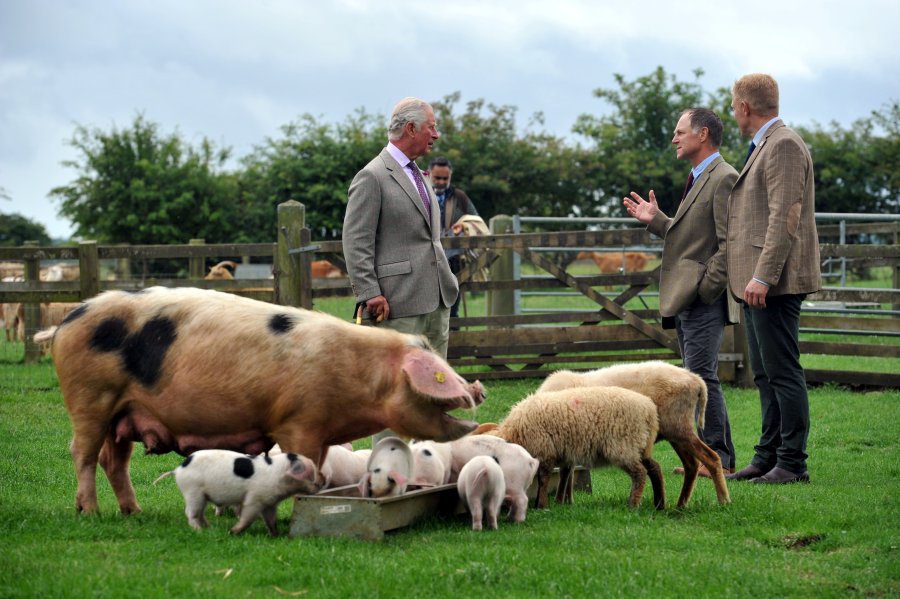 The Prince of Wales visited Cotswold Farm Park ahead of the 4 July go-ahead for all farm attractions to open