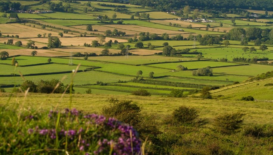 The Countryside Code applies to all parts of the countryside in England and Wales and aims to help everyone respect rural areas