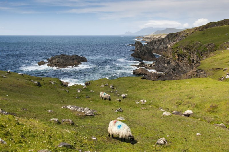 Farmers in Northern Ireland say 'meaningful engagement' with the government on post-Brexit plans 'hasn't started'