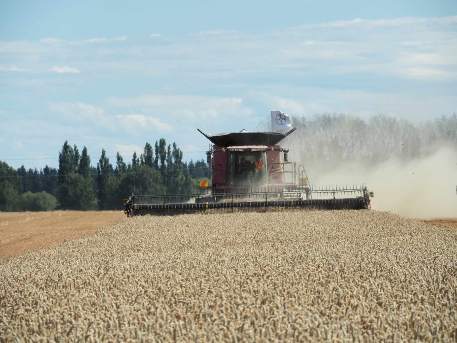 The New Zealand farmer has achieved the Guinness World Record for the second time