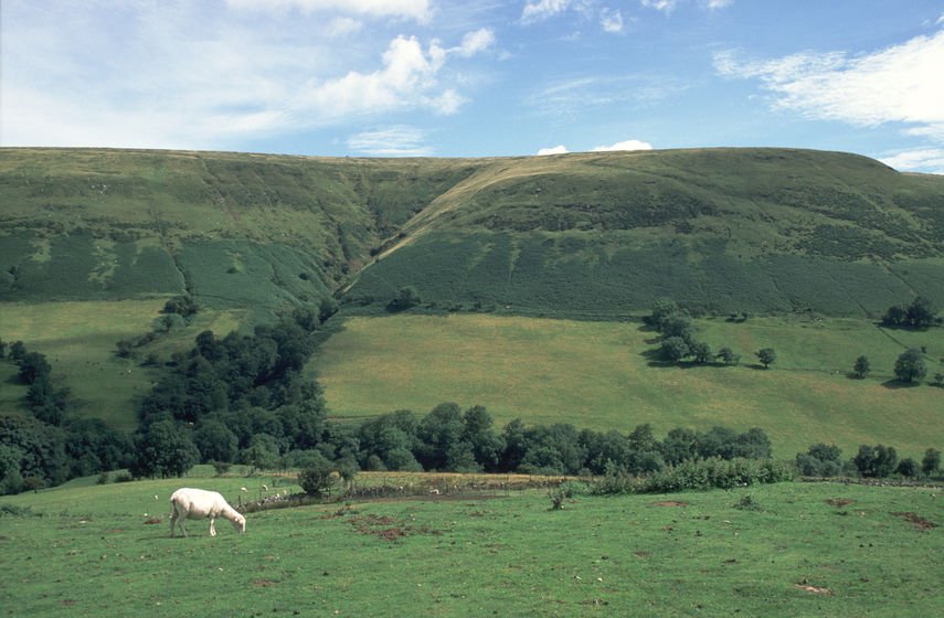 A new report says the British countryside 'holds the key' to tackling the climate emergency