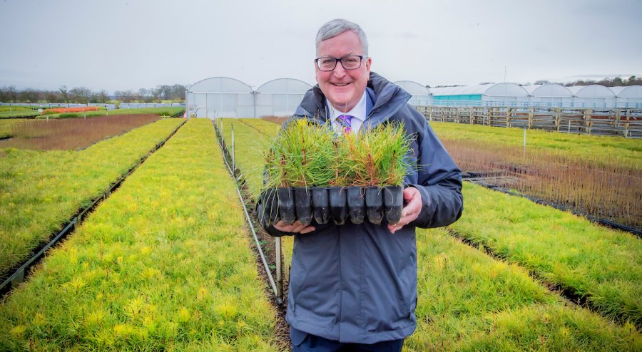 Scottish government's rural secretary Fergus Ewing at Alba Trees, one of the UK's largest tree nurseries based in East Lothian