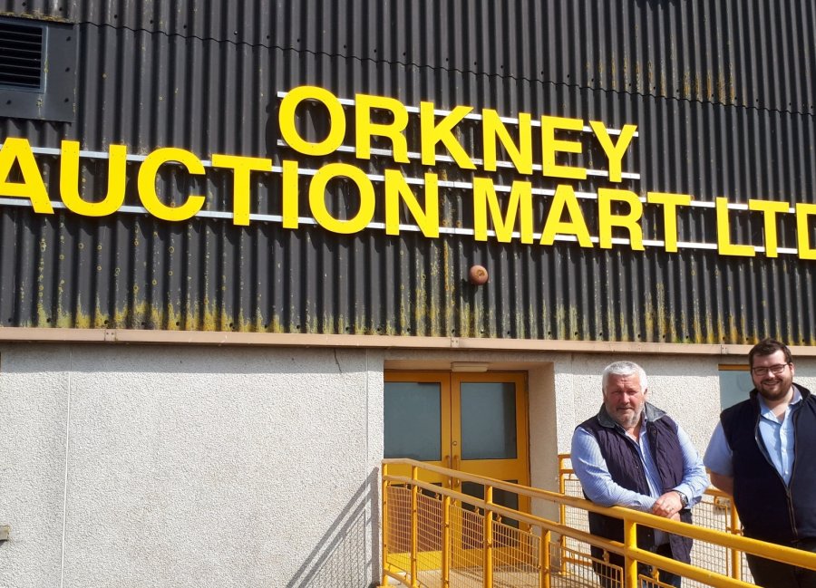 Jim Linklater and Graham Low, both auctioneers at Orkney Mart, say keeping the connection has been key to continued cattle trade on Orkney